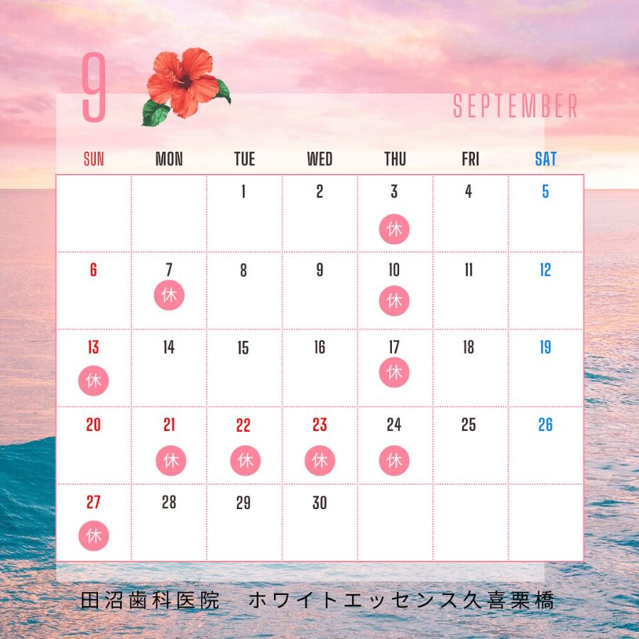 SNS投稿画像